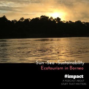 ecotourism borneo case study